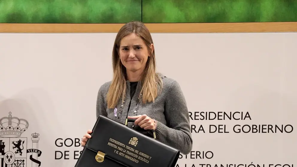 Sara Aagesen vice