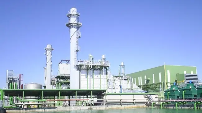 Planta de cogeneraci&oacute;n. Fuente: ACOGEN