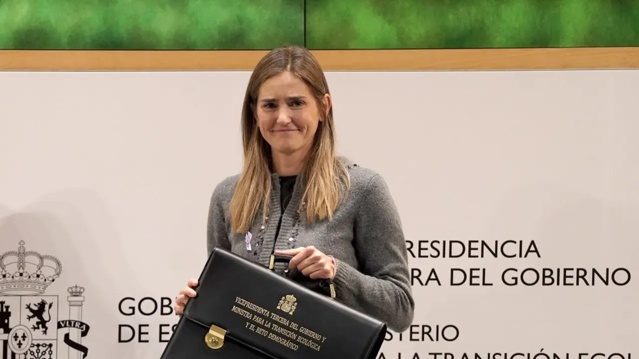 Sara Aagesen vice