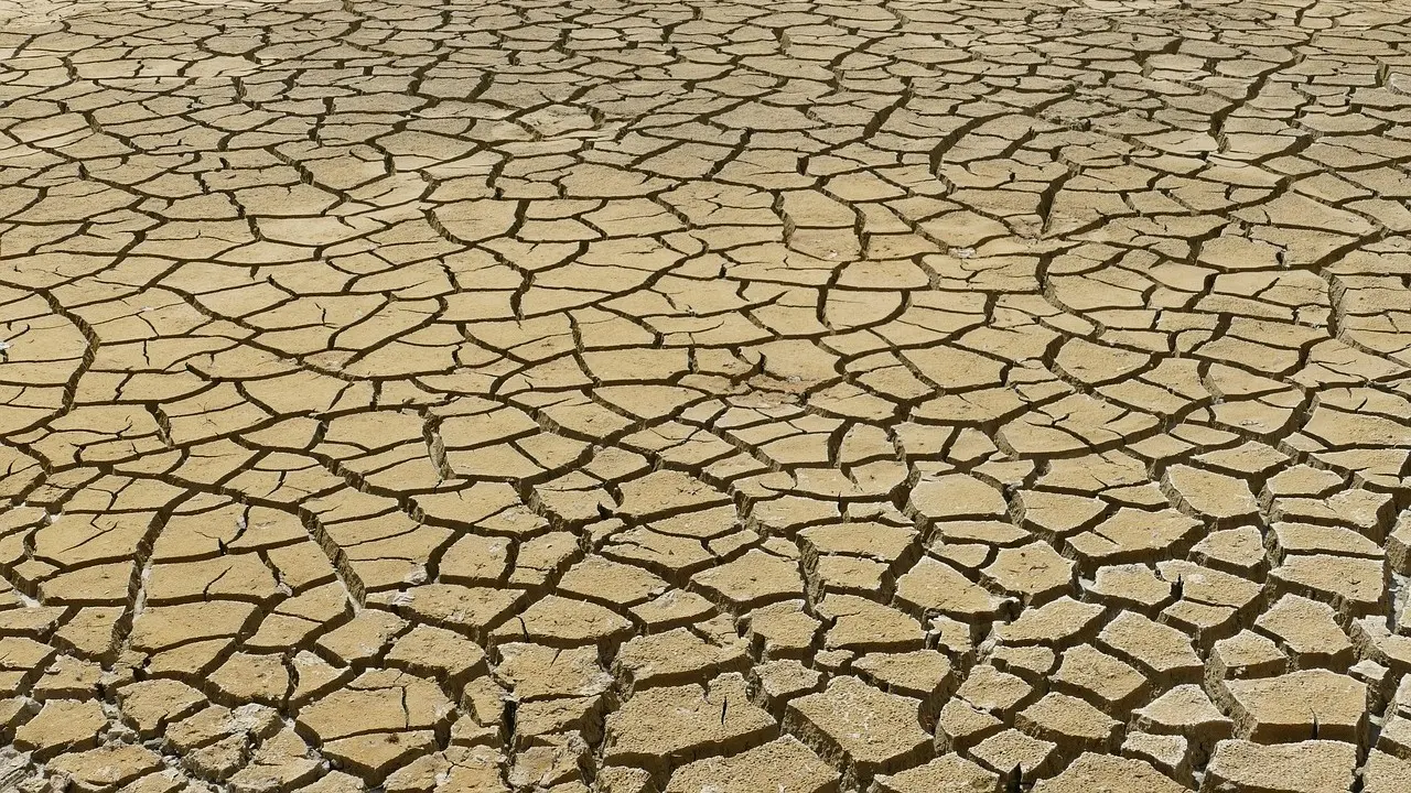 cambio clim&aacute;tico