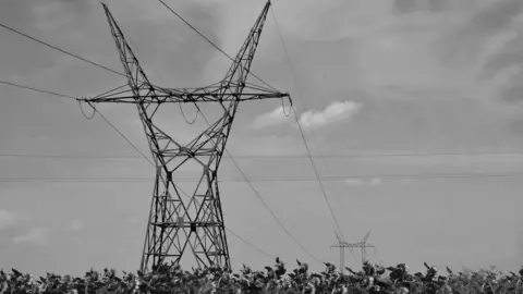 Redes el&eacute;ctricas (2)