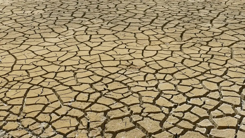 cambio clim&aacute;tico