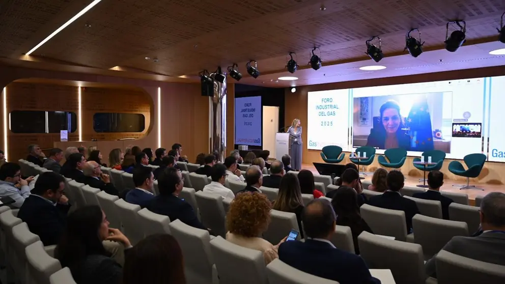 Foro Industrial del Gas 2025
