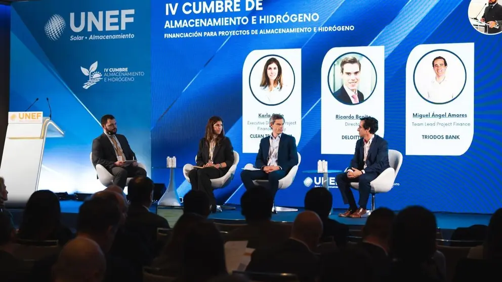 Cumbre Almacenamiento e Hidr&oacute;geno de UNEF
