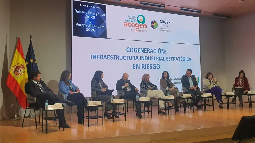 Presentaci&oacute;n del Balance Energ&eacute;tico 2025 y Perspectivas 2026, organizada en EnerClub